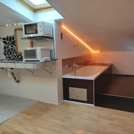 홈스테이 Chambre Dans Un Loft *