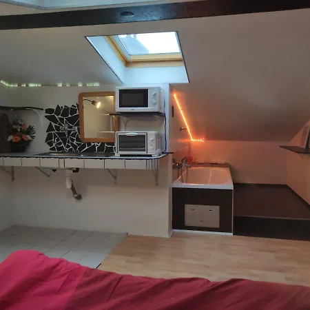 Chambre Dans Un Loft 홈스테이 Thyez